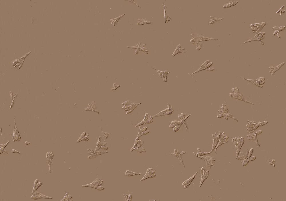 Embossed Earth Tones by Santhosh ch — canvas wall art