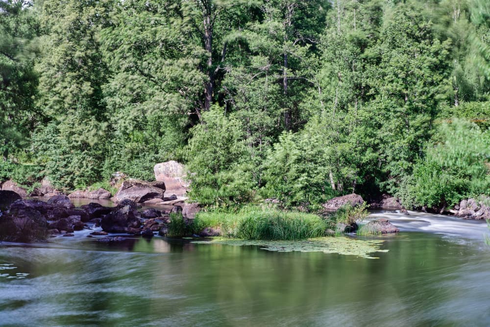 Forest River Serenity by Geertjan Plooijer — canvas wall art