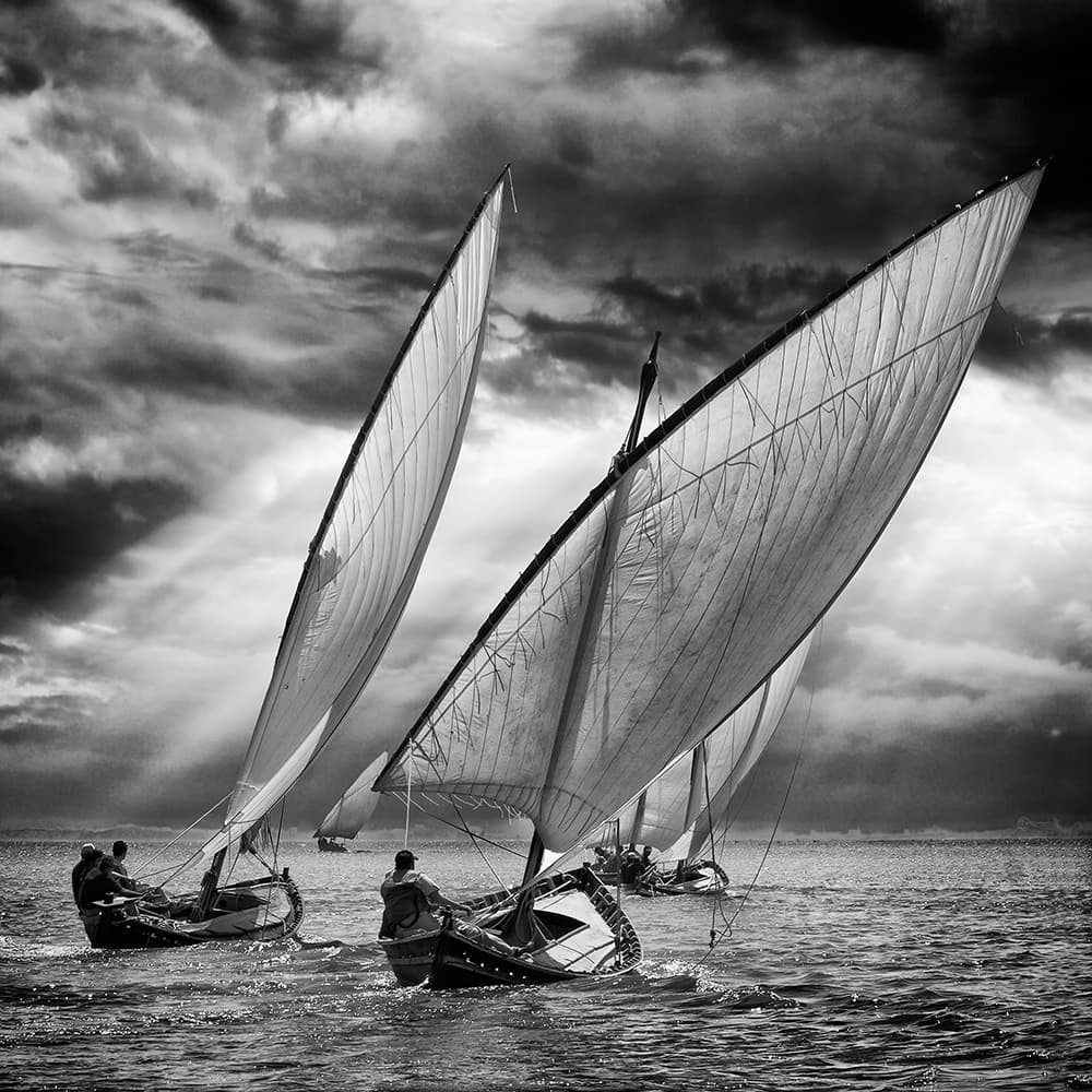 Dramatic Sailing Race