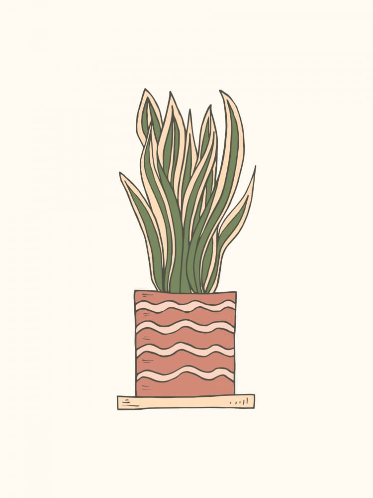 Modern Snake Plant Pot by Olena Kovalova — canvas wall art