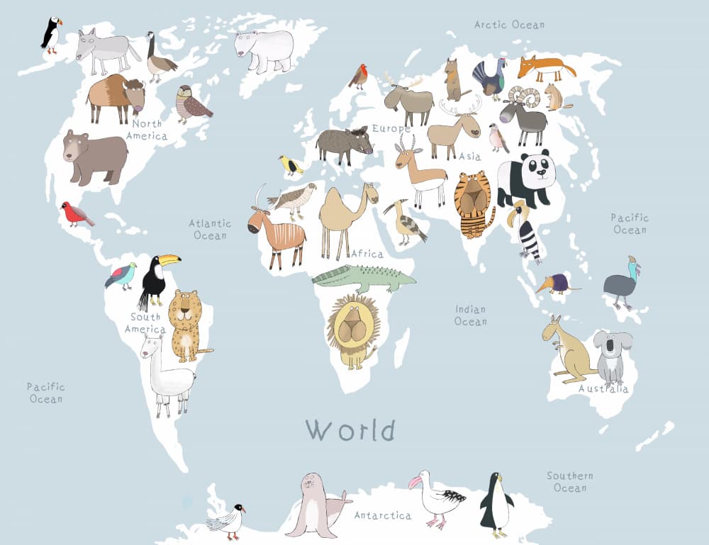Global Animal Map by Carla Daly — canvas wall art