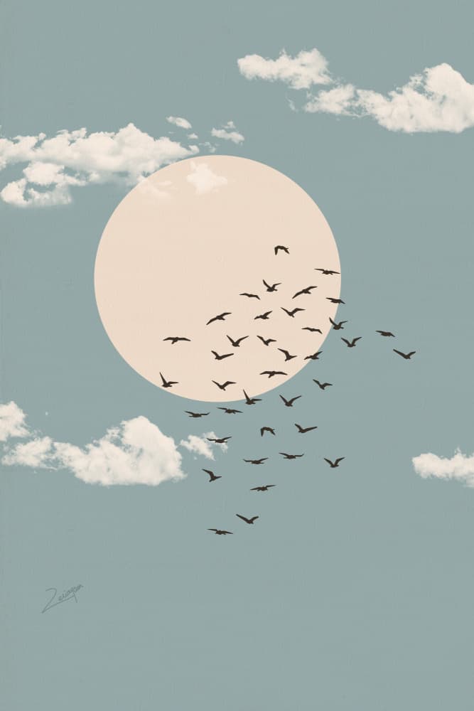 Birds Over Pale Sun by zarish chaudhry — canvas wall art