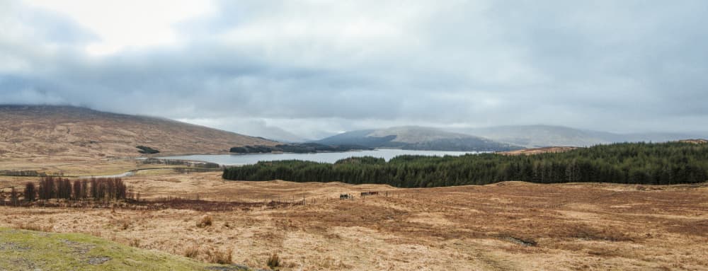 Cloudy Scottish Loch by Dahlia Ambrose — canvas wall art
