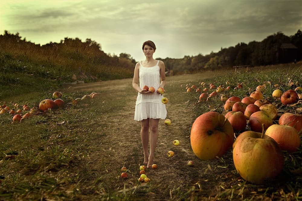 Autumn Apple Path by Mike Darzi — canvas wall art