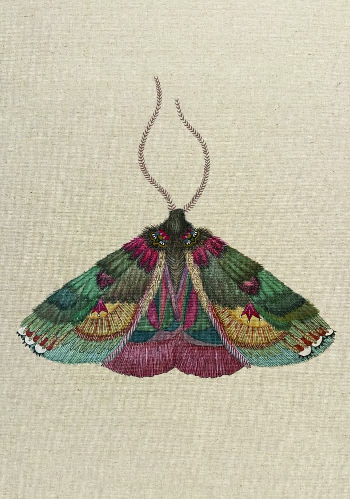 Colorful Embroidered Moth by ZAM.ROD — canvas wall art