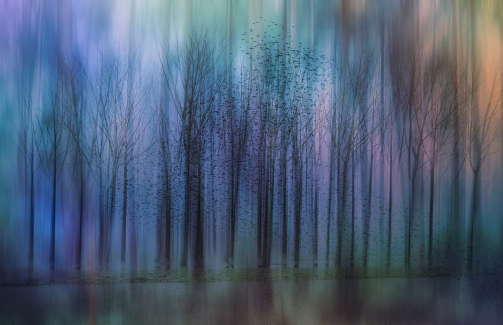 fantasty world by Hilda van der Lee — canvas wall art