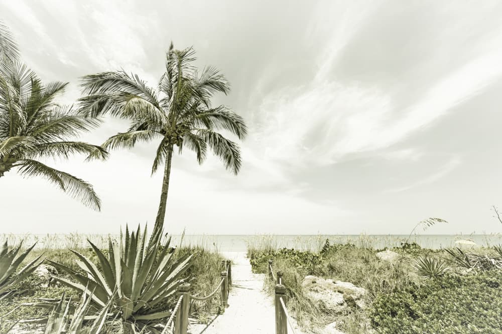 Vintage Tropical Beach Path by Melanie Viola — canvas wall art