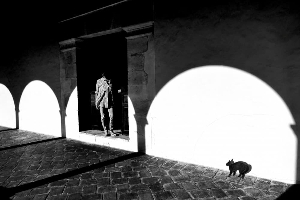 Arched Shadows Black Cat by Giorgio Pizzocaro — canvas wall art