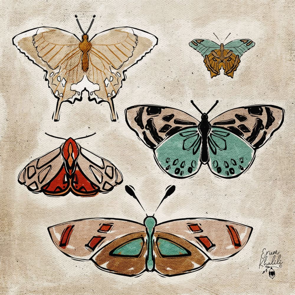 Vintage Insect Illustrations by Erum Khalili — canvas wall art