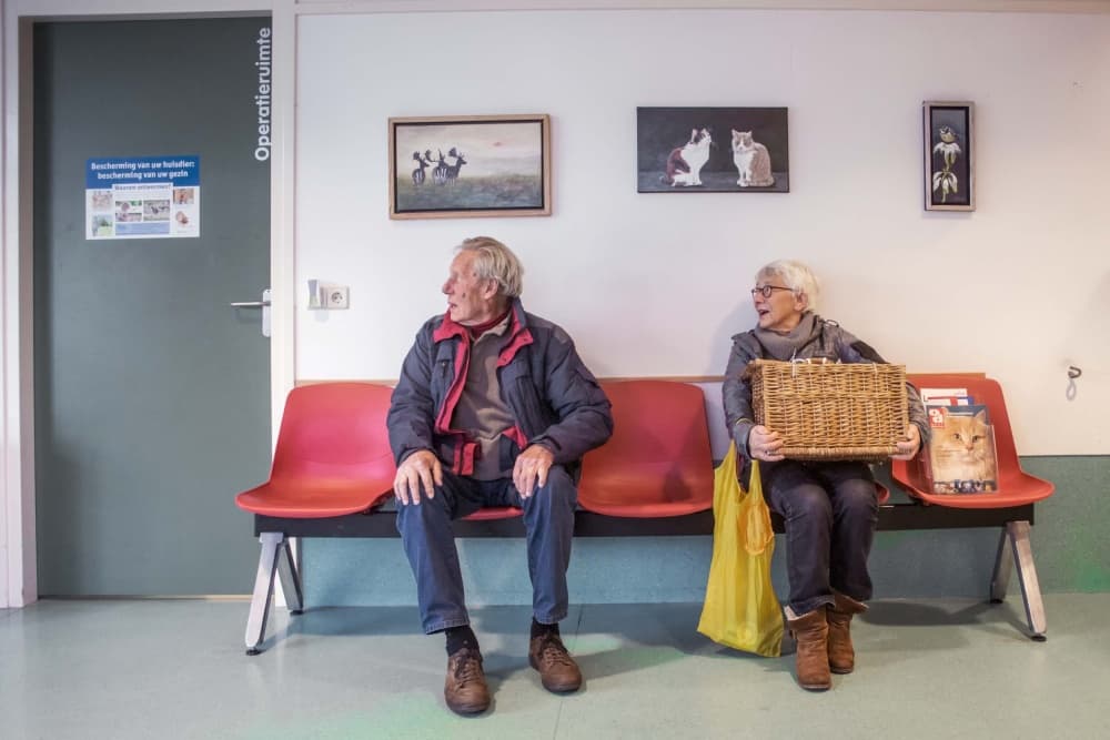 Patience In The Clinic by Gert van den Bosch — canvas wall art