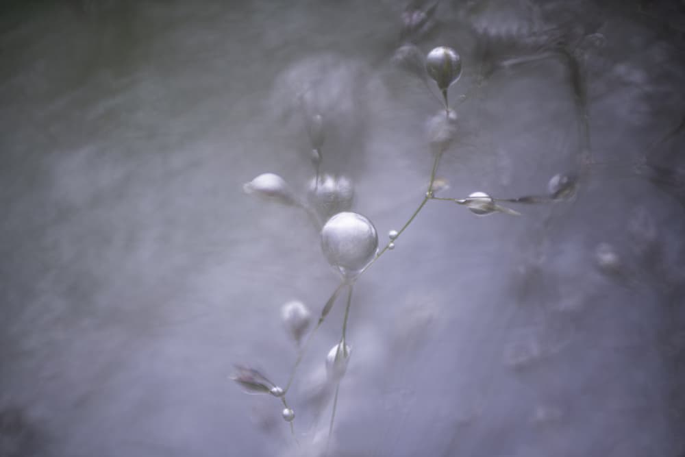 Dreamy Water Drops by Nanda Bussers — canvas wall art