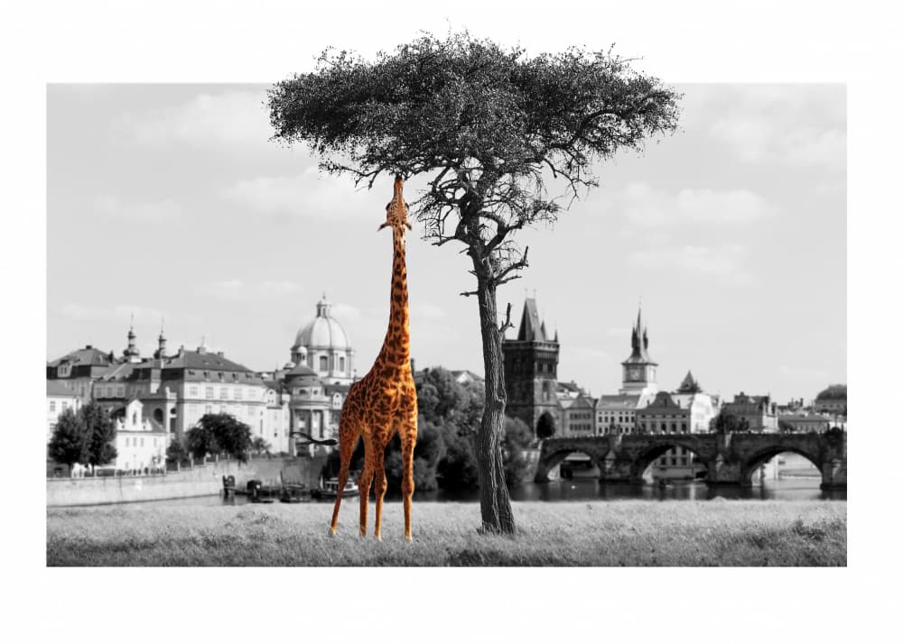 Surreal Prague Giraffe by Fadil Roze — canvas wall art