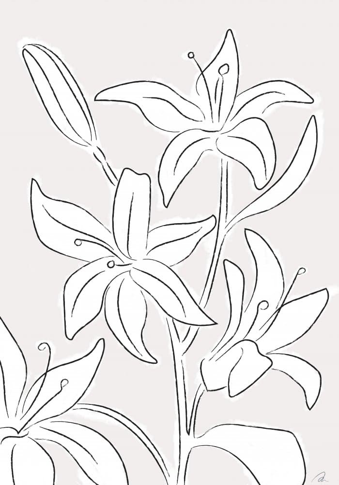 Minimalist Lily Blooms by Pictufy Studio II — canvas wall art