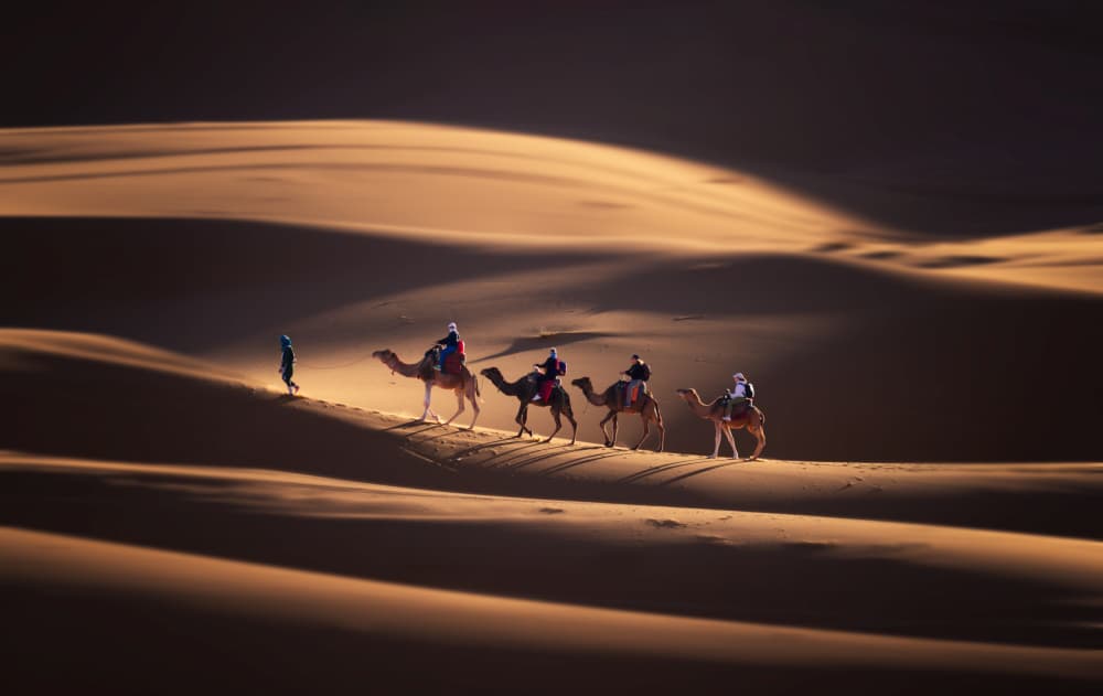 Golden Desert Caravan by Dawn X W — canvas wall art