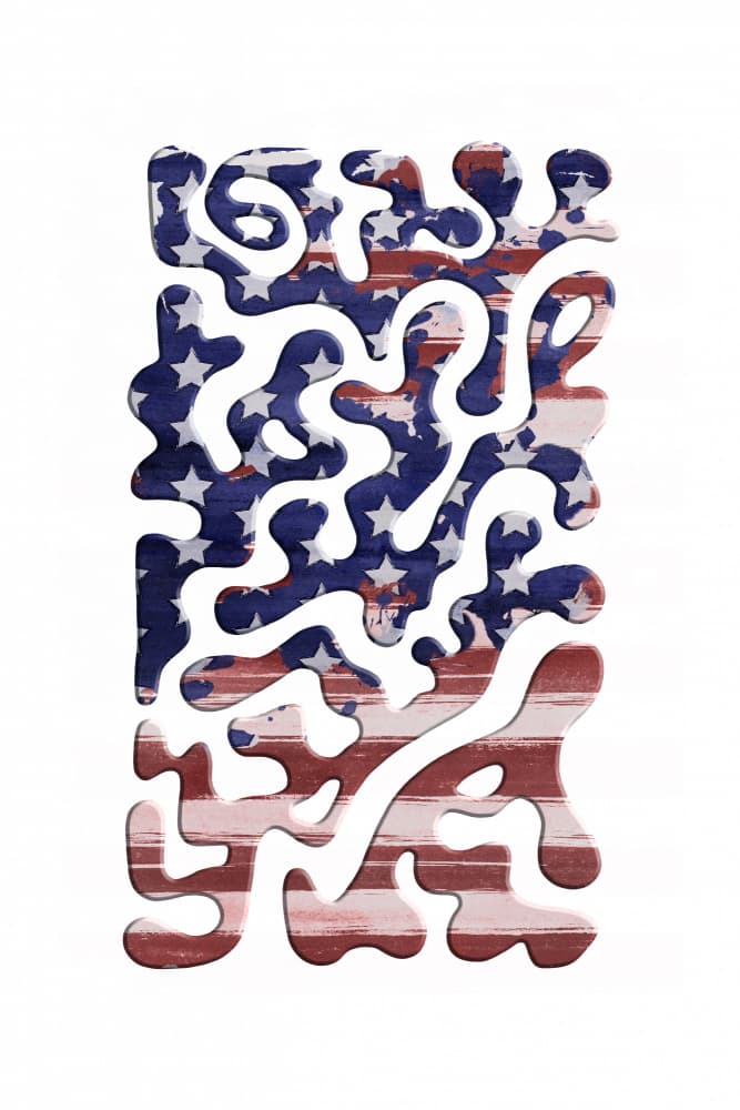 Fluid American Flag by Melanie Viola — canvas wall art