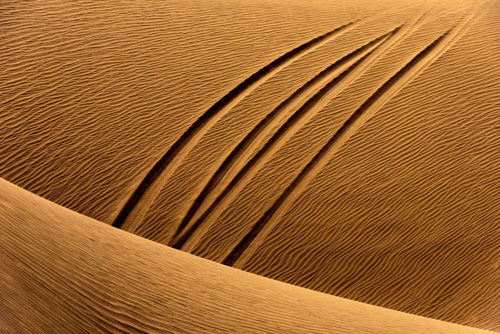 The Epoch of Man by Morteza Navvabpour — canvas wall art