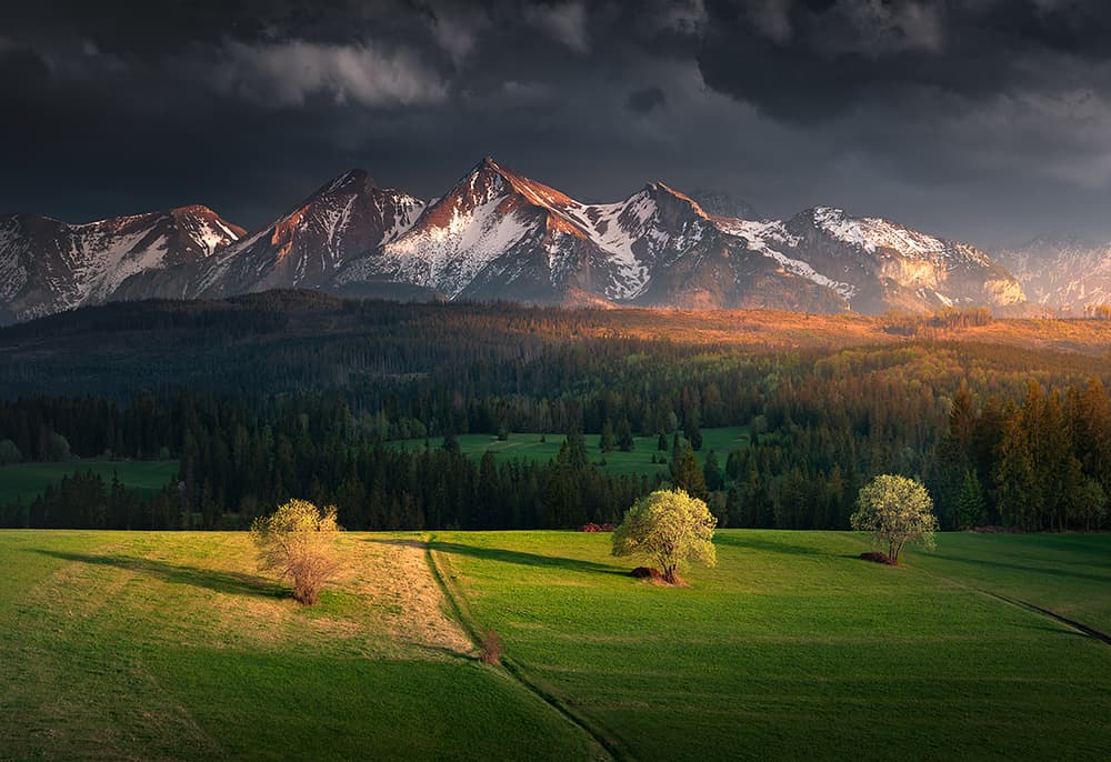 Golden Mountain Meadow by Karol Nienartowicz — canvas wall art