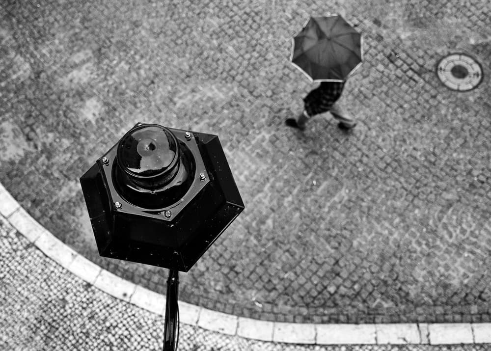 Umbrella On Rainy Street by Carlos Costa — canvas wall art