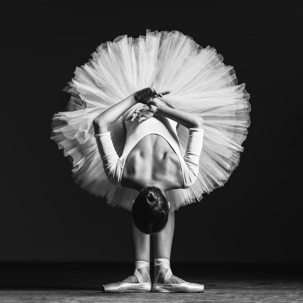 Elegant Ballerina Pose by Alexander Yakovlev — canvas wall art