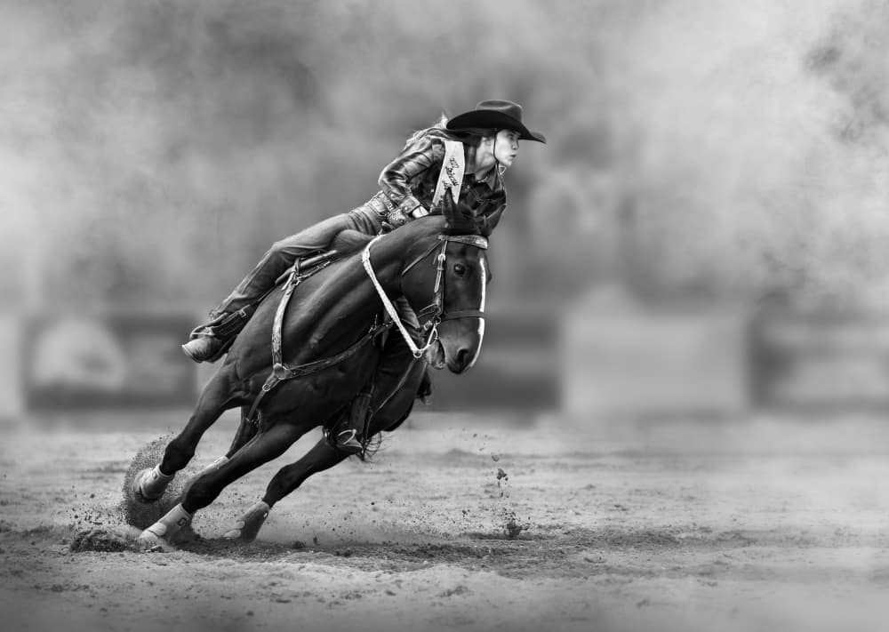 Cowgirl Barrel Racing Speed by James Lu — canvas wall art