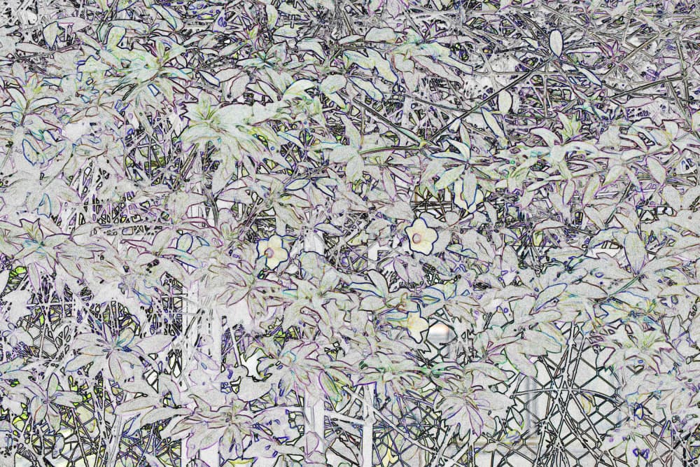 Ethereal Garden Foliage by Santhosh ch — canvas wall art