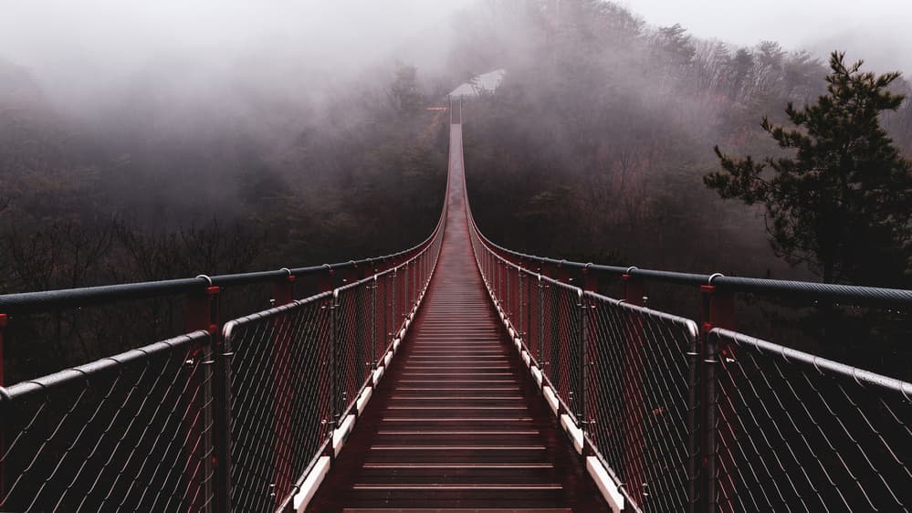 Foggy Forest Bridge by Gwangseop Eom — canvas wall art