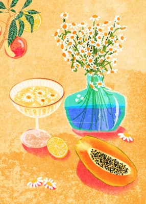 Summer Drinks