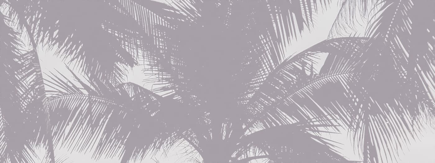 Palms