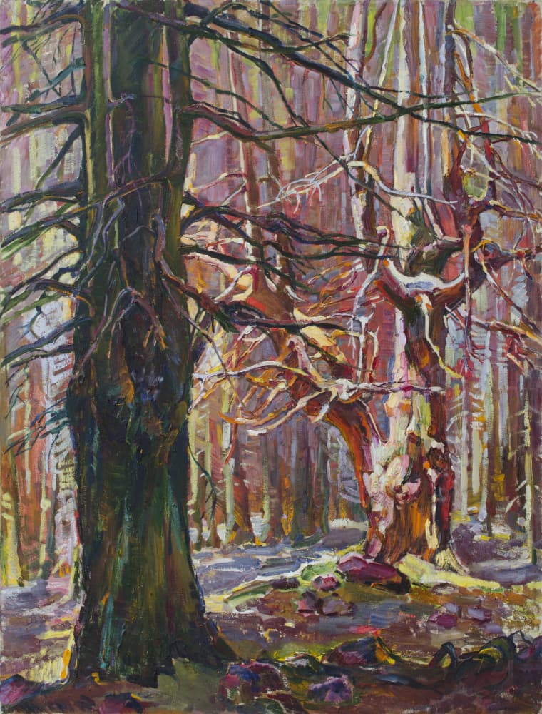 Sunlit Winter Woods by Andrii Kutsachenko — canvas wall art