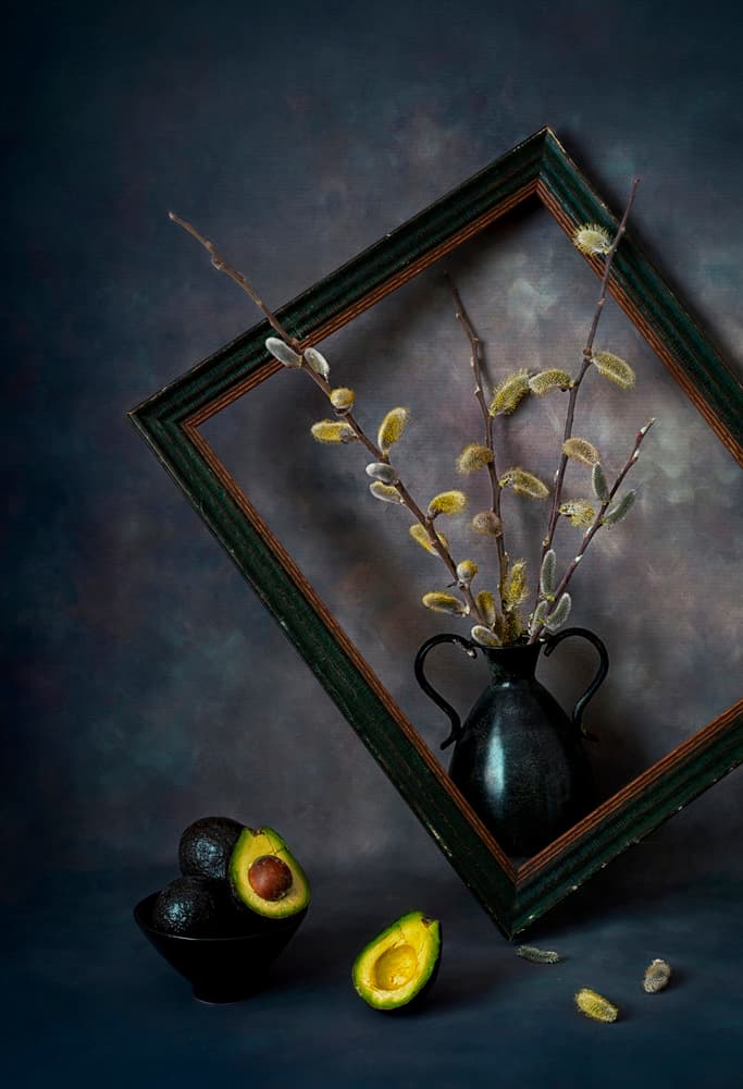 Pussy Willows and Avocado by Lydia Jacobs — canvas wall art
