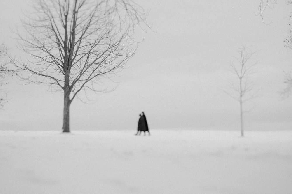 Winter Walk by Cindy Liu — canvas wall art