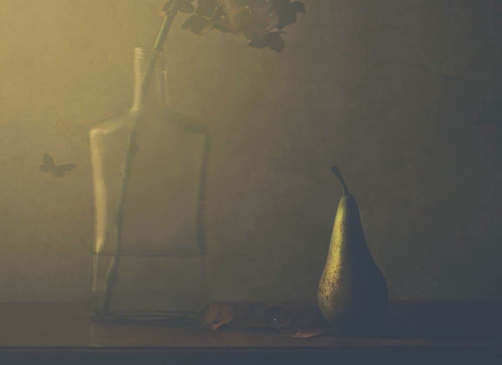 Moody Pear Still Life by Delphine Devos — canvas wall art