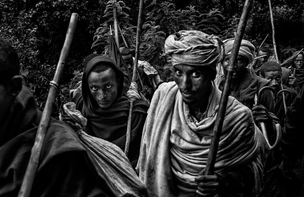 Stoic Forest Travelers by Joxe Inazio Kuesta Garmendia — canvas wall art