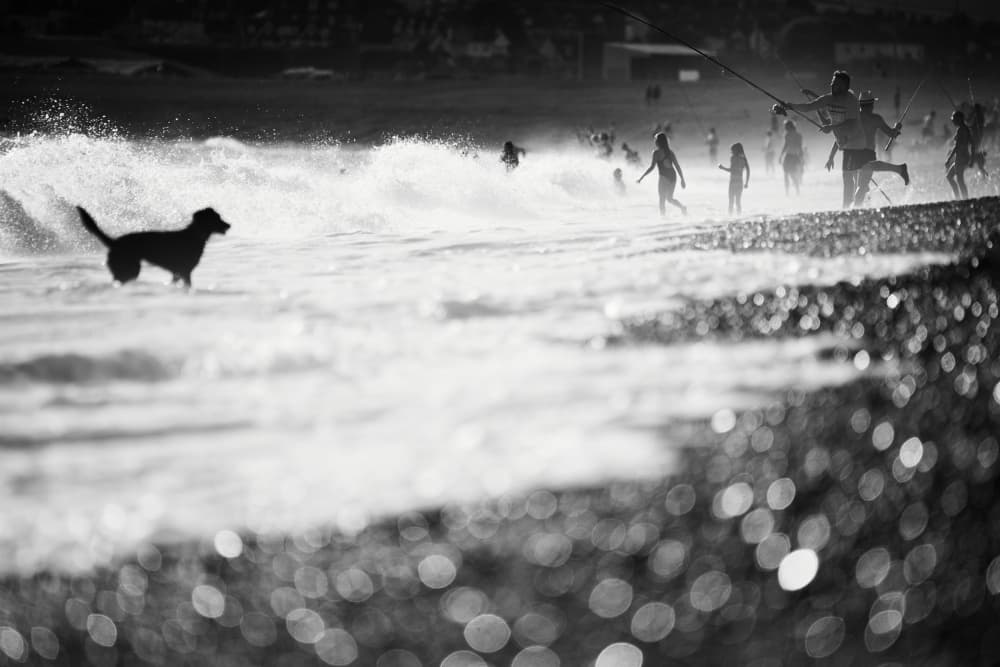 Carefree Beach Day by Gheorghita Nemtanu — canvas wall art