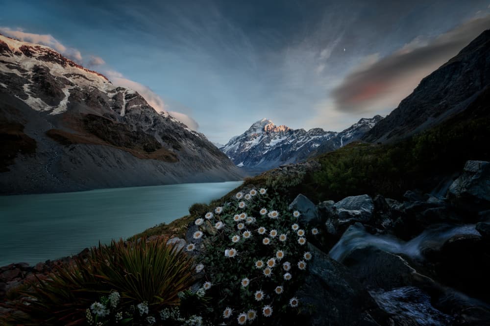 Mountain Lake Wildflowers by YANGYING — canvas wall art