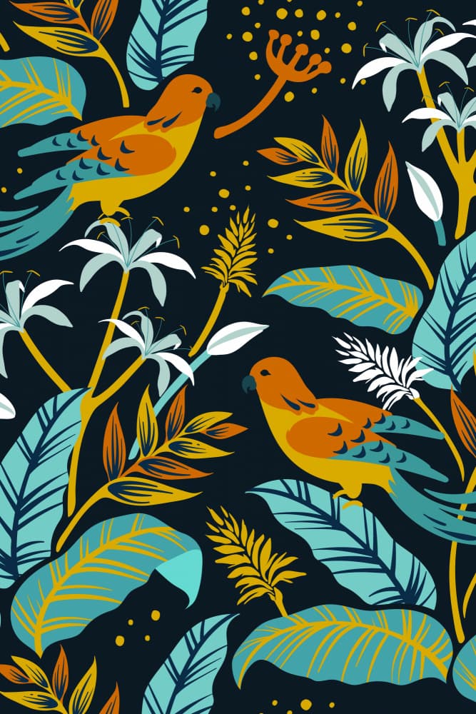 Colorful Jungle Parrots by jay stanley — canvas wall art