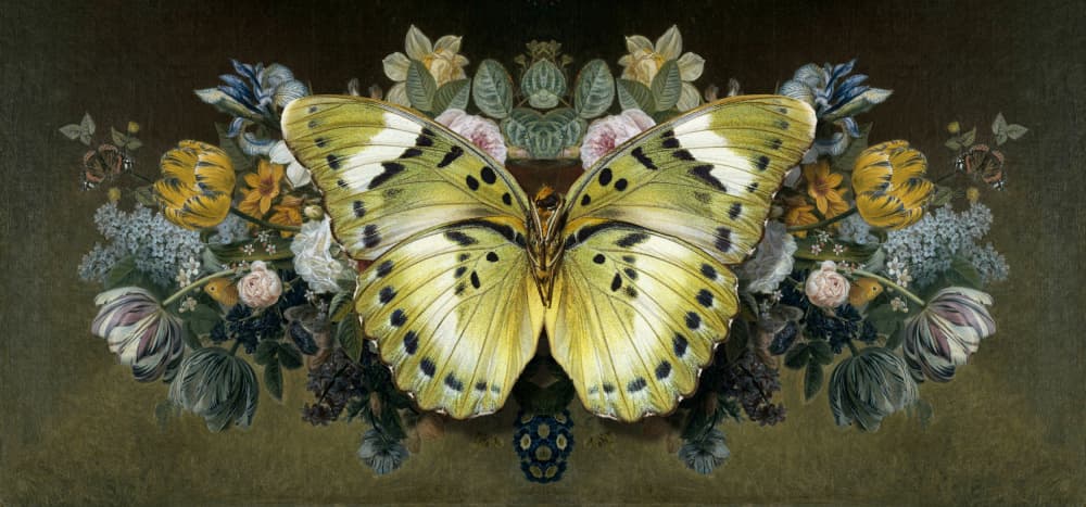 Yellow Butterfly Floral Symmetry by Marja van den Hurk — canvas wall art