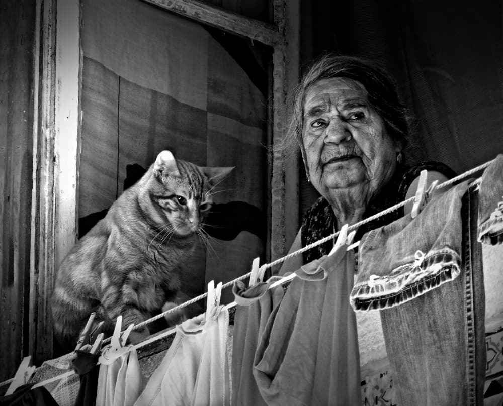 Woman and Cat at Window by Ezequiel59 — canvas wall art