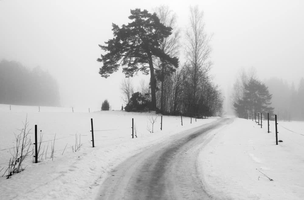 Serene Winter Road by Bror Johansson — canvas wall art
