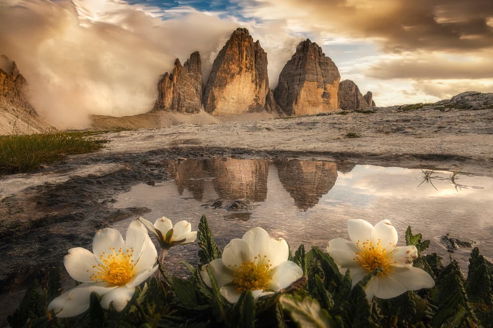 Golden Alpine Reflection by Alberto Ghizzi Panizza — canvas wall art