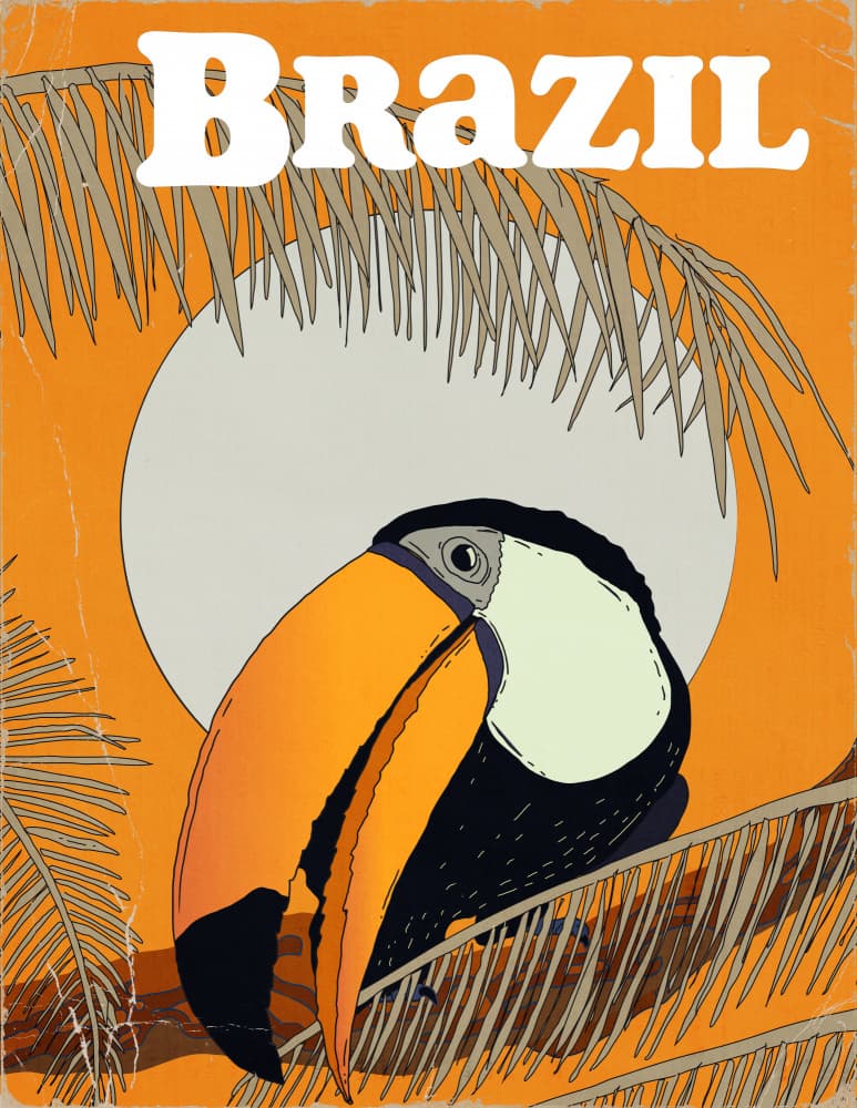 Brazil Toucan Sunshine by Nicholas — canvas wall art