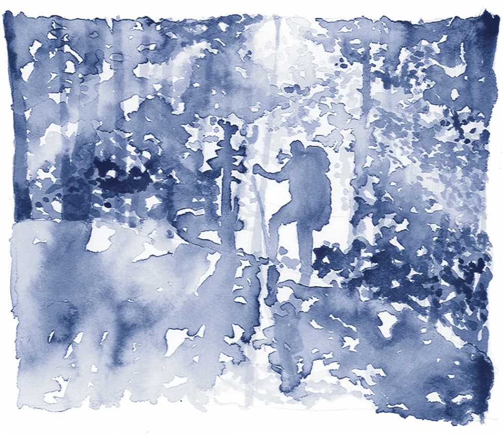 Blue Forest Wanderer by RodMacIver — canvas wall art