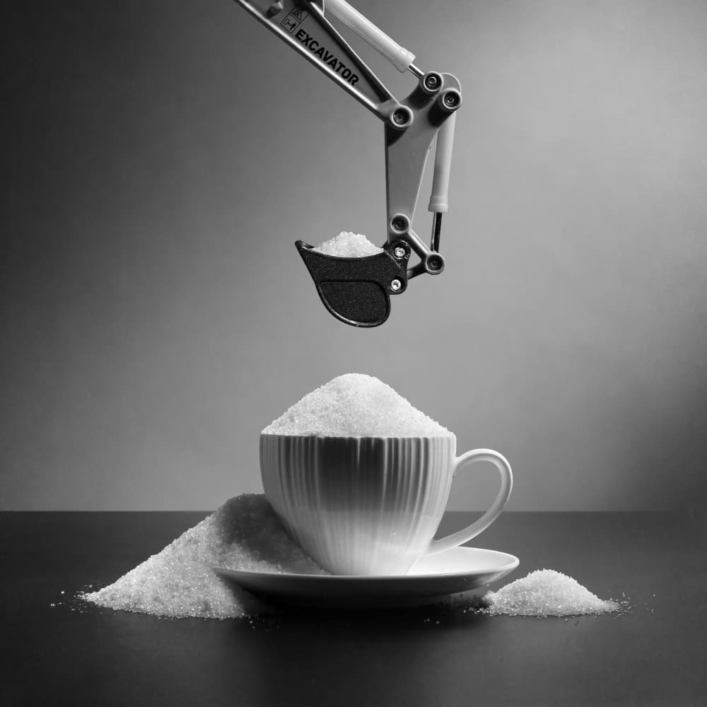 Heavy Sugar Load by Victoria Glinka — canvas wall art