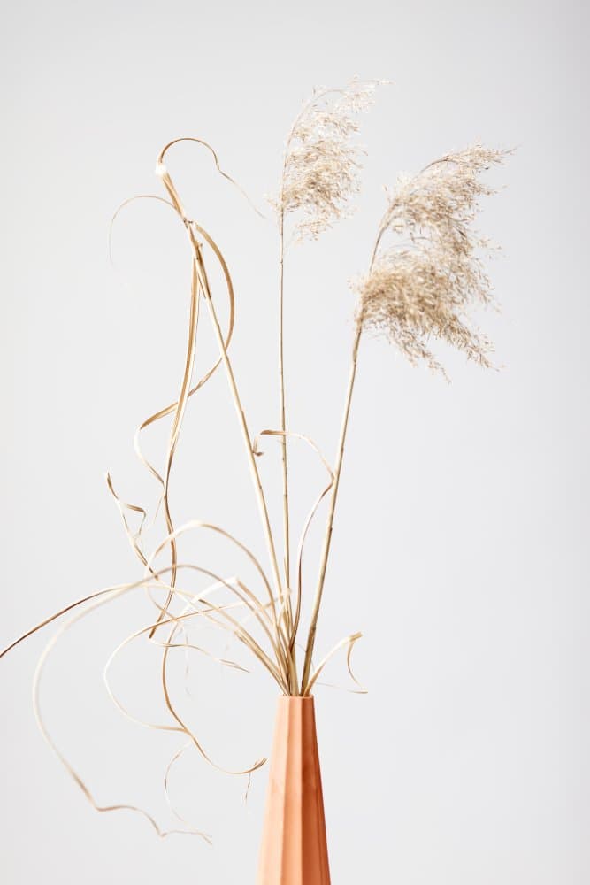Pampas Grass Elegance by Pictufy Studio III — canvas wall art