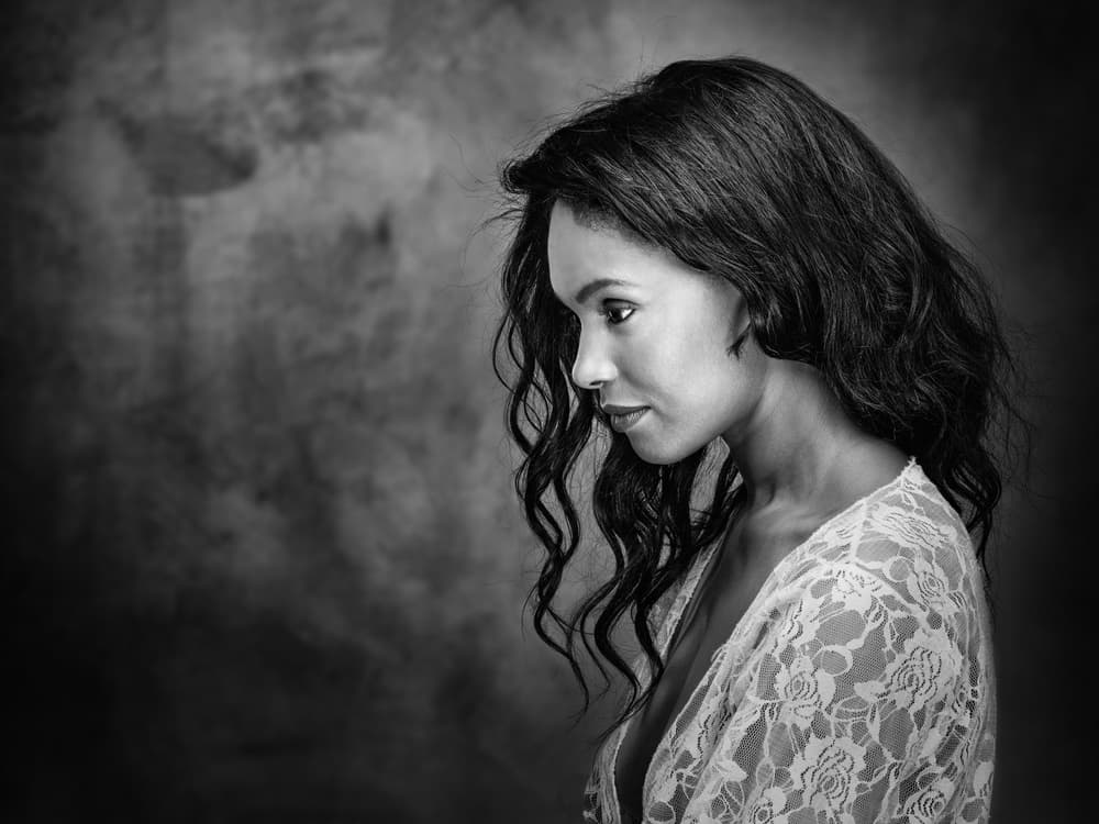 Elegant Woman Profile by Luc Stalmans — canvas wall art