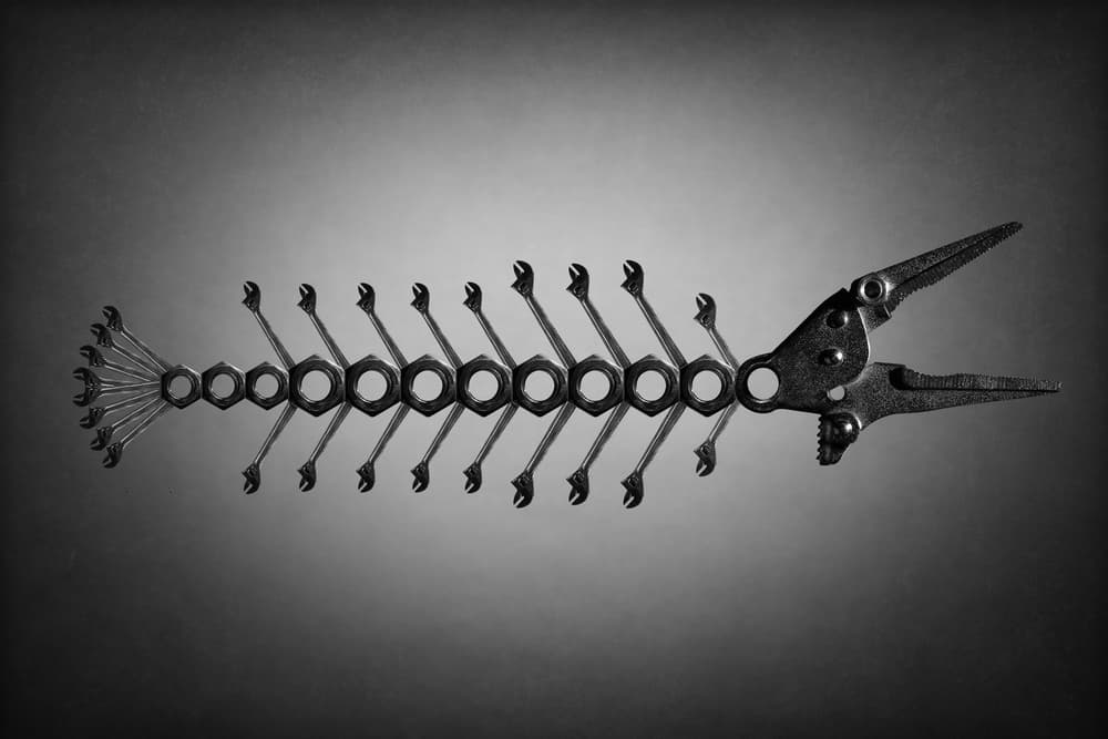 Tool Fish Skeleton by Victoria Glinka — canvas wall art