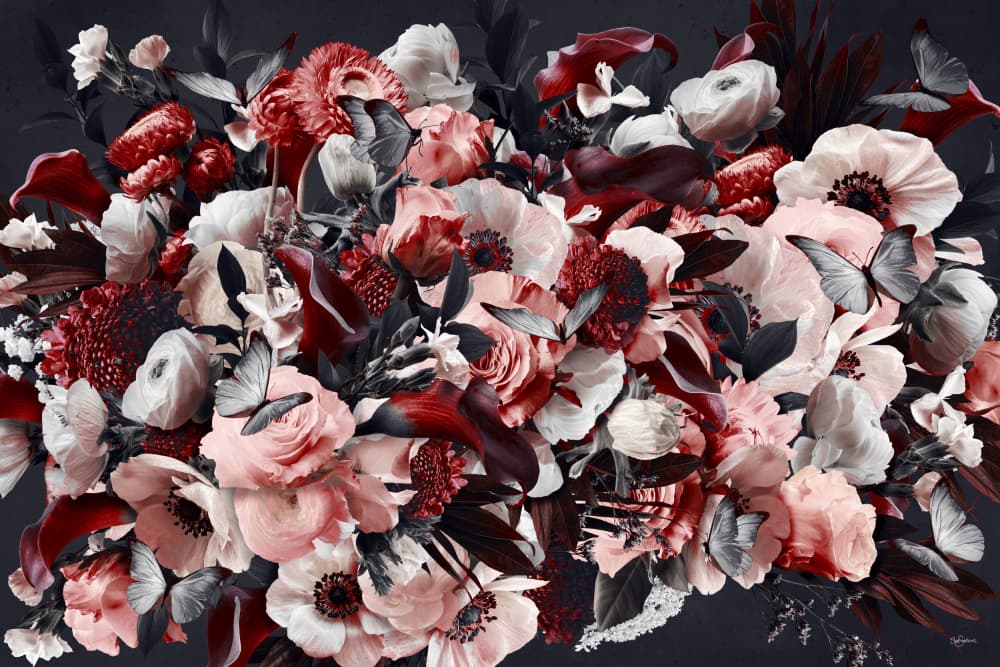 Crimson Blush Blooms by Sue Skellern — canvas wall art