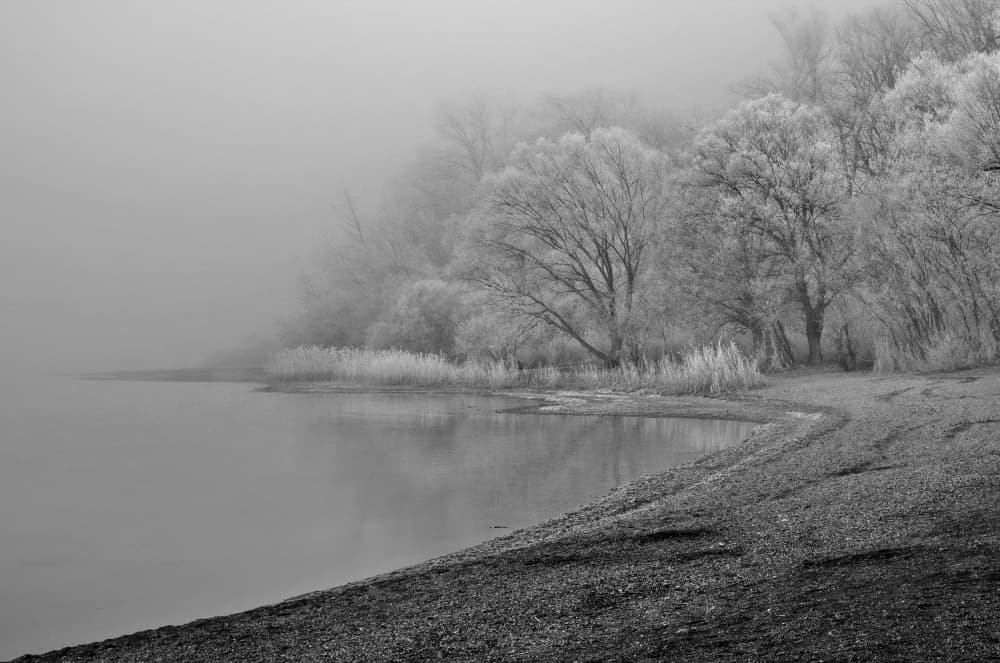 Misty Winter Lake by Hans Peter Rank — canvas wall art