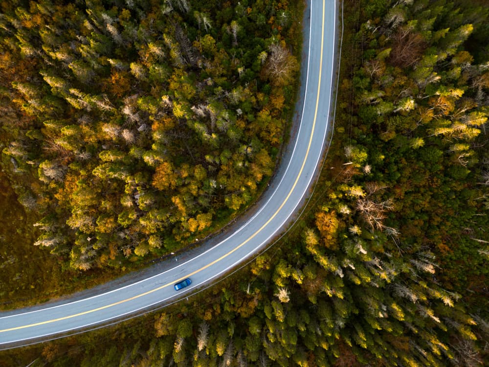 Winding Autumn Forest Road by Ambar Saha — canvas wall art