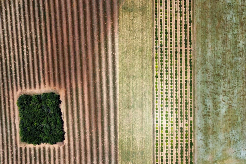 Aerial Farm Field Patterns by Primož Kožuh — canvas wall art